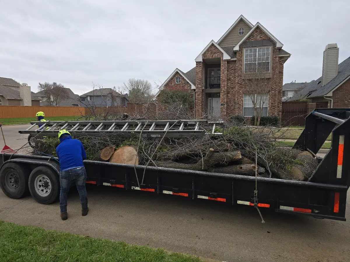 Expert Lot Clearing with proper safety equipment in Holton